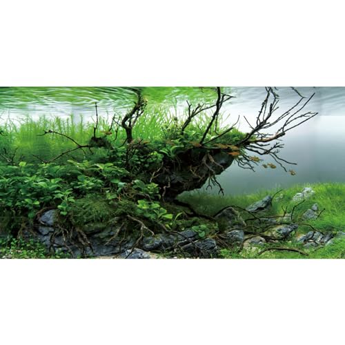AWERT Hintergrund für Aquarien, 182,9 x 61 cm, Algen, Aquarium-Hintergrund, Flussbett und See, Aquarium-Hintergrund, Vinyl-Hintergrund von AWERT