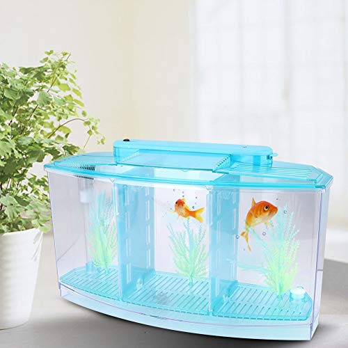 LED Acryl Drei Unterteilungen Zucht-Isolationsbox für kleine Fische mit Lichtern und ungiftigem Gras (blau) von AYNEFY