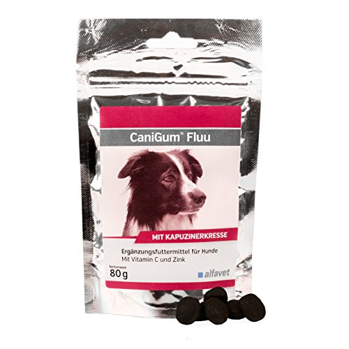 Alfavet CaniGum Fluu für Hunde, unterstützt körpereigene Abwehr, Kapuzinerkresse, Vitamin C, Zink und B-Vitamine, Ergänzungsfuttermittel, 80g Beutel (ca 40 Kaudrops) von Alfavet