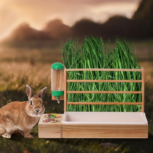 BREUAILY 4 IN 1 Heuraufe Kaninchen Holz Heu Futterspender Hasen mit Herausnehmbarer Kunststoff-Kastentoilette Futterspender Kaninchen Heu für Kaninchen Meerschweinchen Hamster von BREUAILY