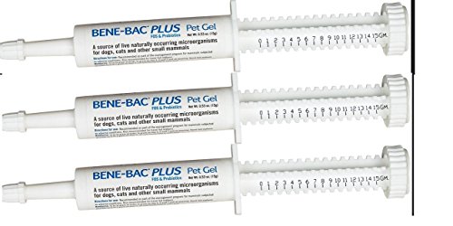 Bene-Bac Plus (3er Pack Probiotische Pet Gel 15g jedes X 3 Spritzen von Bene-Bac Plus