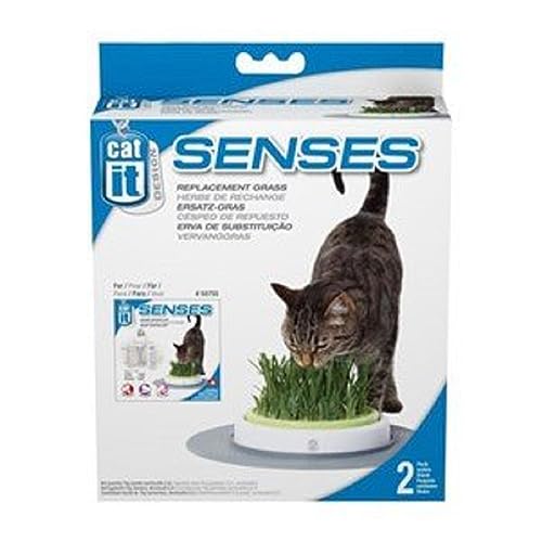 Catit Design Senses Gras Garten, Katzengras Nachfüllbeutel, 2er Pack von Catit