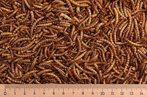 (Grundpreis 17,50 Euro/kg) - 1 kg Mehlwürmer getrocknet, Reptilienfutter, Nager von Futtertiere getrocknet