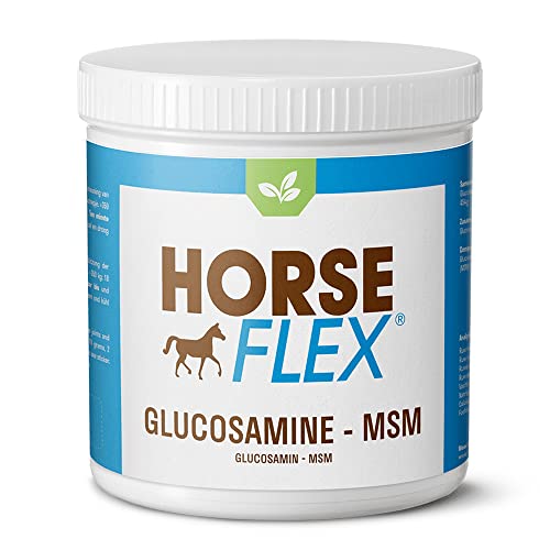 HORSE FLEX Glucosamin-MSM Pulver für Pferde zur Unterstützung der Gelenke und Hufe - 3000 Gramm von HORSE FLEX