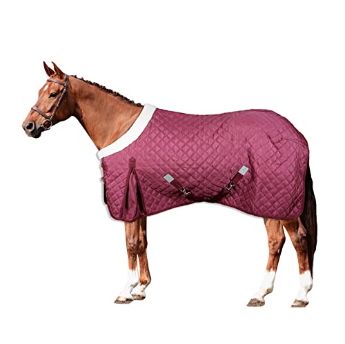 Horses, Stalldecke Quazar Move 160g, Hervorragend Verarbeitete Decke, Nützlich zum Schutz des Pferdes vor Temperaturschwankungen, Regen und Insekten (155 cm) von Horses