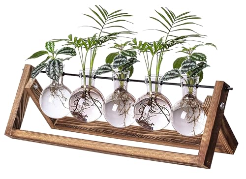 Kingbuy Pflanzenvermehrungsstation mit 5 Glühbirnen-Vasen, Retro-Holzständer, Desktop-Glas-Pflanzgefäß, Terrarium für Hydrokulturpflanzen, Heimbüro-Dekor von Kingbuy
