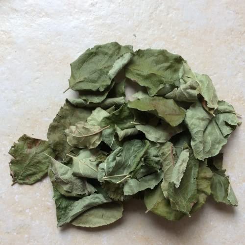 Apfelblätter grün getrocknet, 30 Stück (Futter/Dekoblätter) von M&S Reptilien