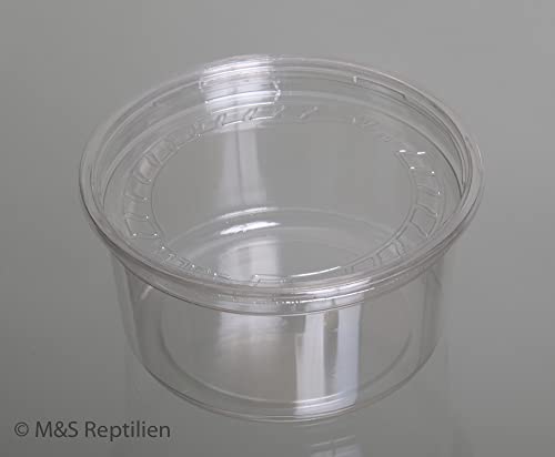 M&S Reptilien Becher mit Deckel small/niedrig, Höhe 4cm (passend zu Eiablagebehälter) von M&S Reptilien