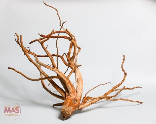 M&S Reptilien ''Lagune''Driftwood (Treibholz) ''Hibiscus tiliaceus'' 40-60 cm (small) von M&S Reptilien