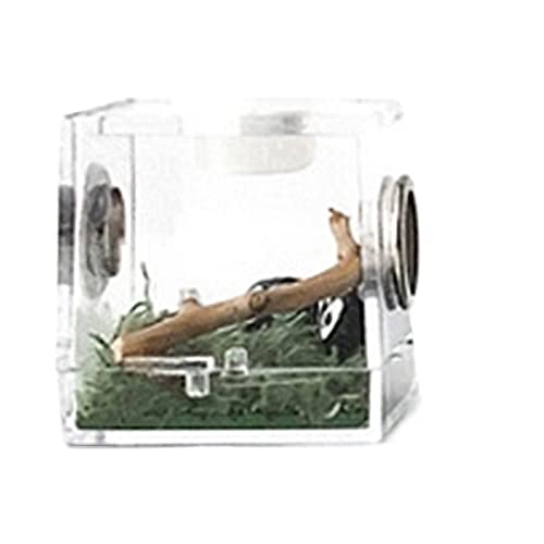 Reptilien-Futter-Terrarium-Box, Schildkröten-Eidechsen-Futterbox, kleine Reptilien-Zuchtbox, transparenter Acrylkäfig, Lebensraum, Insekten-Futterbox, Futterbox von MaGiLL