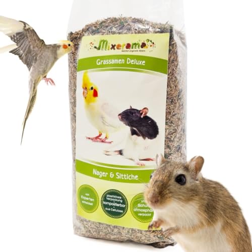 Mixerama Grassamen Deluxe - Ergänzung zum Futter für Ratten Mäuse Zwerghamster und Sittiche von Mixerama