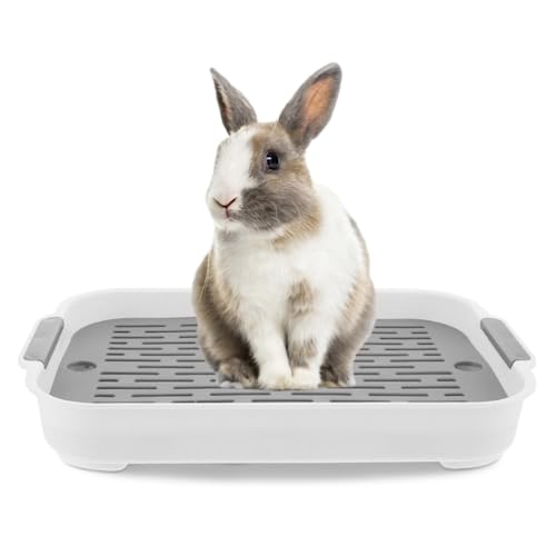 Kaninchendrüsenbox, Kaninchendrüsenschale 2 Tier Kaninchendrüsenbox Plastik Rechteckige Hasen PET -Toilette 7.3x10.6x1,3 Zoll Töpfchen -Trainer Bettwäsche -Box für Meerschweinchen -Hasenfutter Hamste von NIDONE