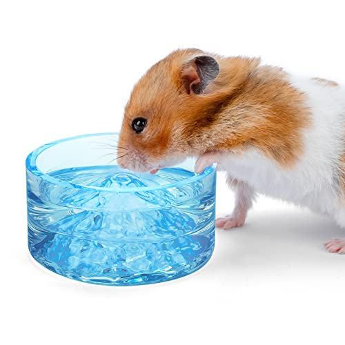 Niteangel Hamster-Futter- und Wassernäpfe – Kleine Tier-Trinkschalen aus Glas für Zwerghamster, Rennmäuse, Mäuse, Ratten oder andere ähnlich große kleine Haustiere (hellblau) von Niteangel