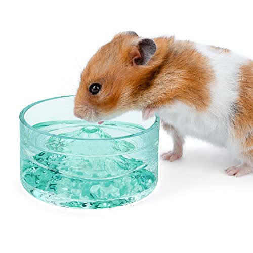 Niteangel Hamster-Futter- und Wasserschalen – Kleine Tier-Trinkschalen aus Glas für Zwerghamster, Wüstenmäuse, Mäuse, Ratten oder andere ähnlich große kleine Haustiere (grün) von Niteangel