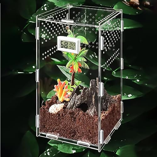 Nizirioo Reptil Fütterungsbox Acrylic Reptilienzuchtbox: Transparente Insekten Futterbox mit Elektronischem Hygrometer, Reptil Fütterungsbox, Critter Box für Schnecken Wasserschildkröten 20x12x12cm von Nizirioo