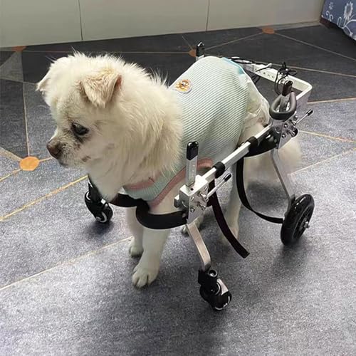 POOLPO Hunderollstuhl für Hinterbeine, Leichter Hunderollstuhl Aus Aluminium, Verstellbarer Rollstuhl für Hunde mit Behinderten Hinterbeinen Beim Gehen (Size : S) von POOLPO