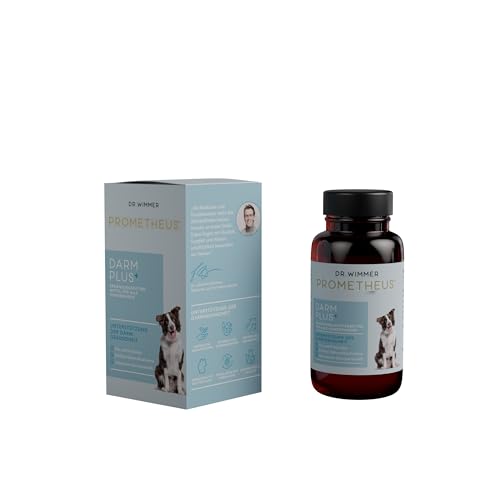 PROMETHEUS by Dr. Wimmer DARM Plus - Unterstützt Verdauung, Immunsystem und Darmgesundheit deines Hundes mit Prä- und Probiotika von PROMETHEUS