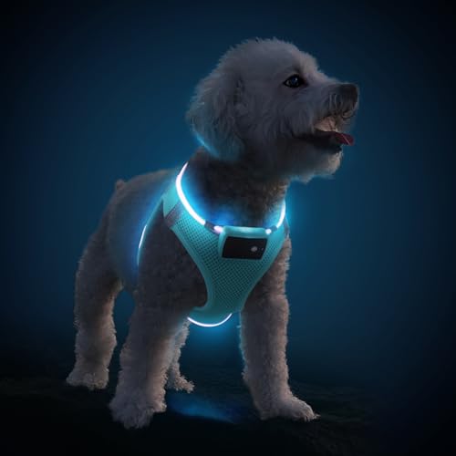 PcEoTllar Hundegeschirr Leuchtend, Leuchtgeschirr LED Aufladbar & Reflektierendes, Beleuchtetes Leuchtgeschirr für Welpe Klein Mittlere Hund, Atmungsaktiv Leucht Geschirr, Blau-L von PcEoTllar