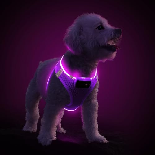 PcEoTllar Hundegeschirr Leuchtend, Leuchtgeschirr LED Aufladbar & Reflektierendes, Beleuchtetes Leuchtgeschirr für Welpe Klein Mittlere Hund, Atmungsaktiv Leucht Geschirr, Lila-M von PcEoTllar