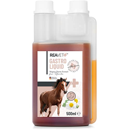ReaVET Gastro Liquid für Pferde 500ml – Magen Darm Pferd, Kotwasser Pferde, Darmprobleme Pferd, Naturprodukt aus Kräutern ohne Zusätze von ReaVET