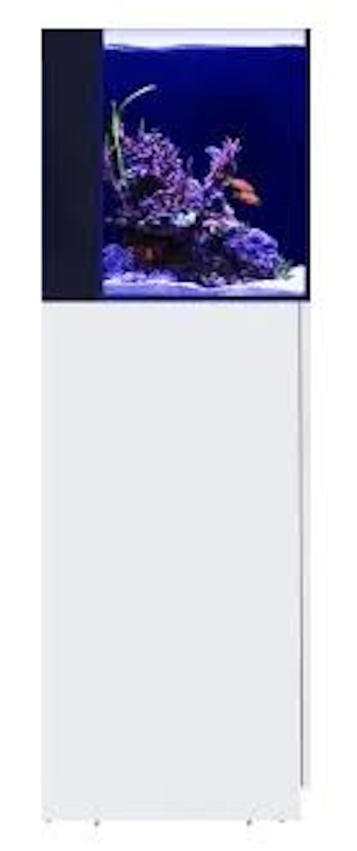 Red Sea Desktop Cube Kombi Aquarium mit Unterschrank weiß