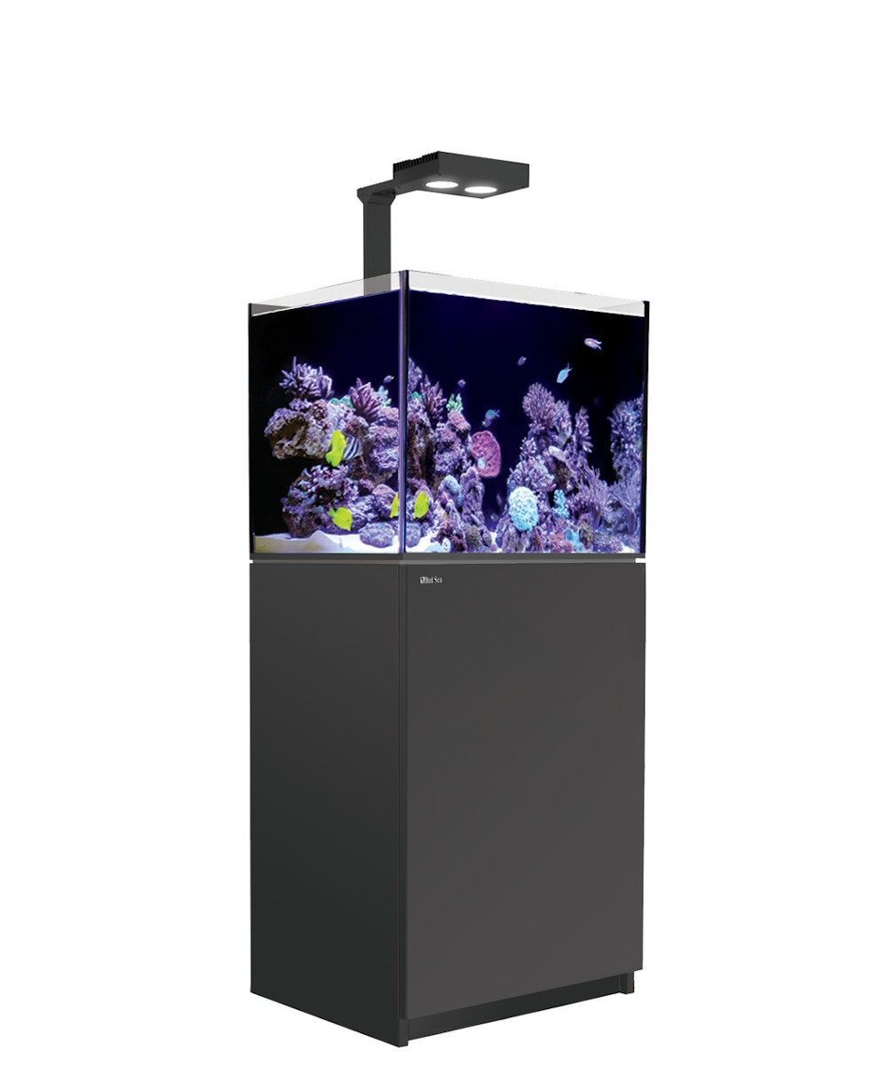 Red Sea REEFER 170 Deluxe (G2 - Modelljahr 2022) 1 x LED 90 Meerwasseraquarium mit Unterschrank schwarz