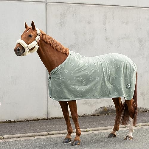 SUNRIDE Abschwitzdecke “Wellington” für Pferde aus weichem Fleece (280g/m²) - schnelltrocknend und leicht (165 cm, Olive) von SUNRIDE