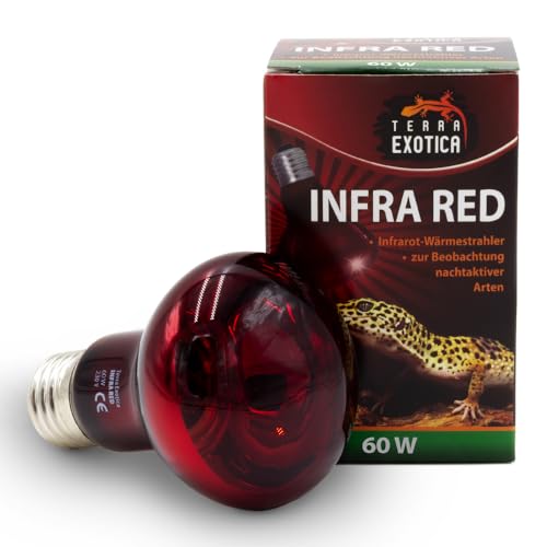 Infra Red 60 Watt Rotlichtlampe für Reptilien - Infrarot Terrarium Wärmelampe für Eidechsen, Schildkröten, Vogelspinnen, Küken, Kaninchen von Terra Exotica