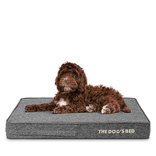 The Dog's Bed Orthopädisches Hundebett, aus hochwertigem, wasserdichtem Memoryschaum von The Dog's Balls