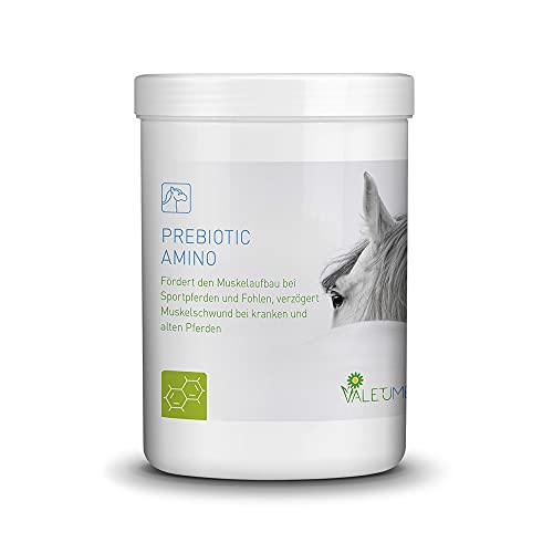 Valetumed PREBIOTIC Amino, 750 g, Ergänzungsfutter für Pferde, fördert den Muskelaufbau, verzögert Muskelschwund bei kranken und Alten Pferden, von Pferdekliniken und Tierärzten empfohlen von Valetumed