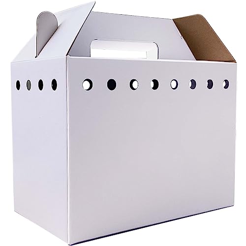 Transportbox aus Karton für kleine Tiere, Hamster, Rennmäuse, Vögel, Reptilien, Einweg-Karton, 12 Stück von Vowcarol