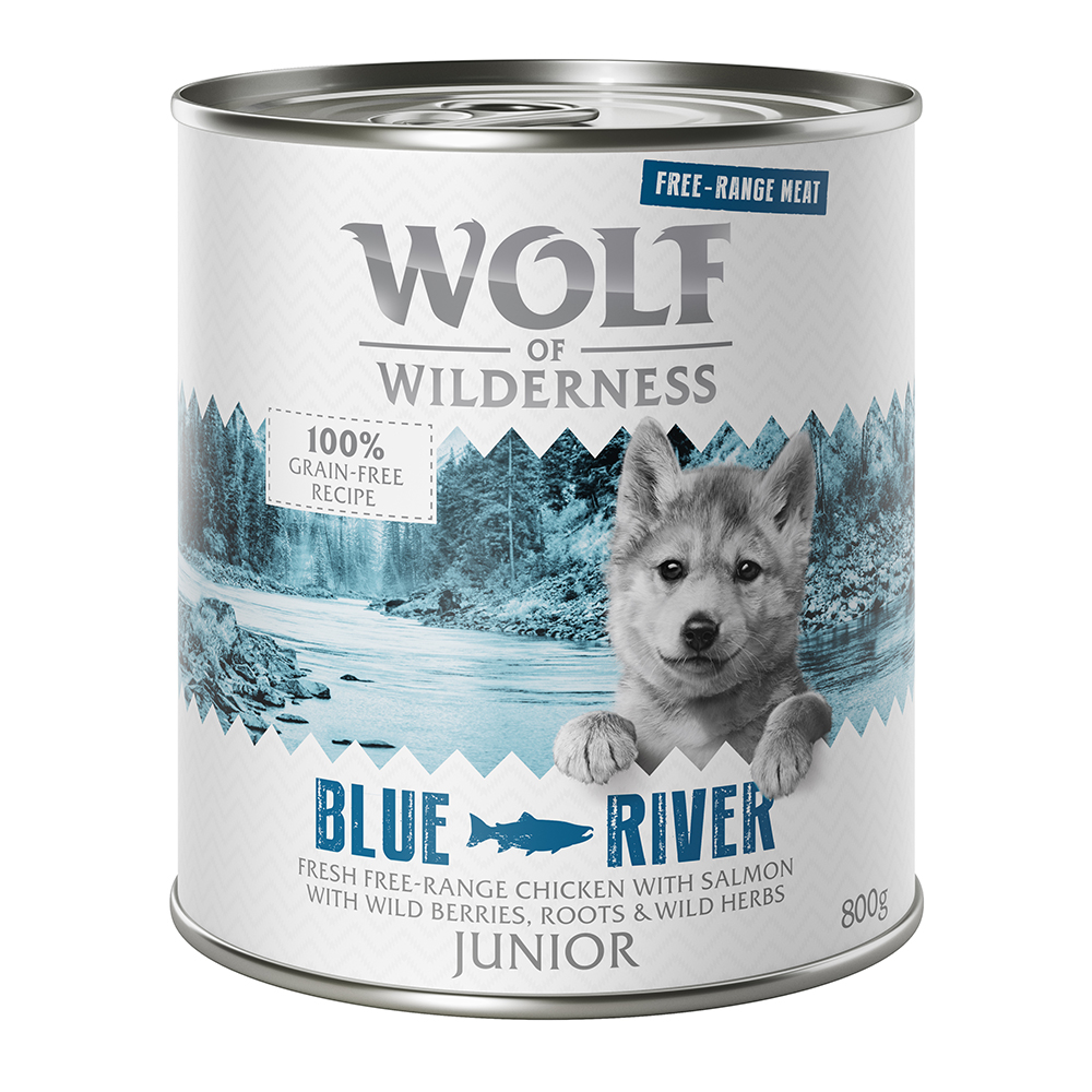 11 + 1 gratis! Wolf of Wilderness 12 x 800 g - JUNIOR Blue River - Freiland-Huhn & Lachs von Wolf of Wilderness