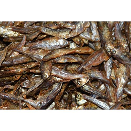 Getrocknete Fische Wasserschildkrötenfutter, 1 kg von Zierfischtreff.de