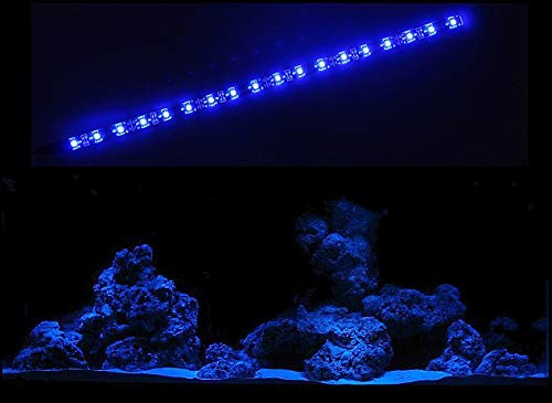 creative lights - Licht & Design Aquarium Mondlicht 30 cm LED LICHTLEISTE + DIMMER Komplettset INKL. NETZTEIL Flexi-Slim BLAU von creative lights - Licht & Design