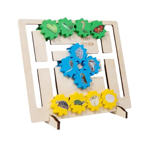 predolo Kreatives Holzspielzeug für Jungen - Lernen und Denken mit dem Zahnradbrett von predolo