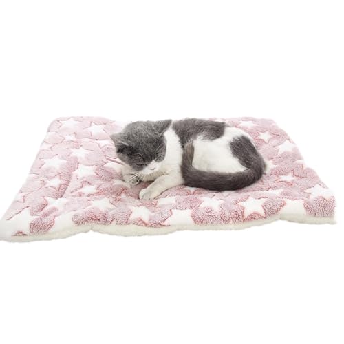 Beruhigende Decke für Katzen, Haustierdecke, weiche Flanell-Haustierdecke mit niedlichem Pfotenabdruck, Plüsch-Katzendecke für Indoor-Katzen, Welpen, Haustiere von ノーブランド品