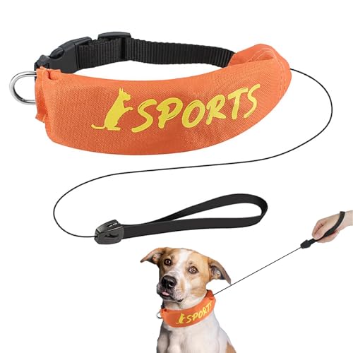 Einziehbare Leine und Halsband, Teleskop-Traktor-Hundeband, abriebfest, flexibel, verstellbar, sichere Hundeleine für Haustiere, Hunde von ノーブランド品