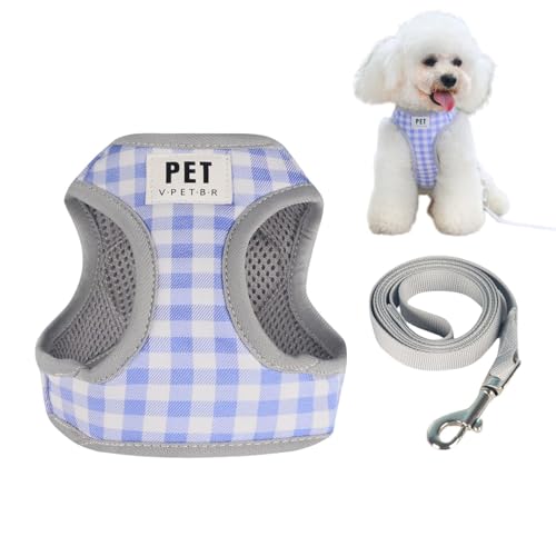 Haustier Weste Geschirr, Hundegeschirr mit einziehbarer Leine - Haustier Hund Weste Verstellbare Set Leine Verstellbarer Gurt Polyestergewebe Rücken Mesh Design Outdoor Training Tool Drehbar Schnalle von ノーブランド品