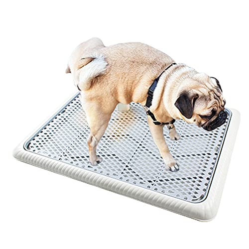 Hundetoilette Hunde WC Haustier Toilette Hundeklo Welpenklo Welpentoilette Hundeklo Puppy Mittlerer Hund Potty für Indoor Outdoor (65x48x5cm) von 通用