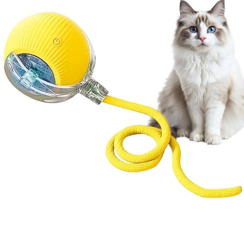 Interaktiver Katzenball, interaktiver Katzenball, rollender Katzenball, Spielzeug für den Innenbereich, automatisch rotierender Ball mit Sound, elektrischer Haustierball für Hunde und Katzen von ノーブランド品