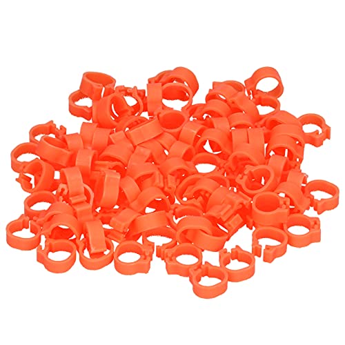 01 Geflügelbeinring, kompakte Taubenbeinringe zur Identifizierung und Kennzeichnung von Tauben(Orange) von 01