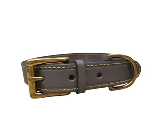 Hundehalsband aus Leder genäht - 30 mm 62 cm mit Schnalle 43-30 von 1000brico