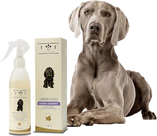 Natürliches Trockenshampoo für Hunde – Waschen ohne Wasser oder Spülen – Inhaltsstoffe pflanzlichen Ursprungs – für alle Haartypen, Linie 101 (100 ml) von 101 love for pet