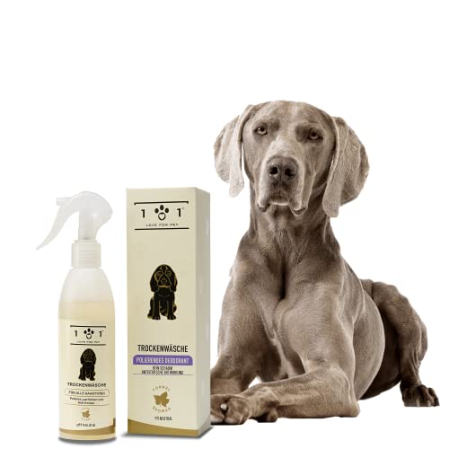 Natürliches Trockenshampoo für Hunde, 250 ml – ohne Wasser oder Ausspülen – Inhaltsstoffe Pflanzlichen Ursprungs – für alle Felltypen, Linea 101 von 101 love for pet