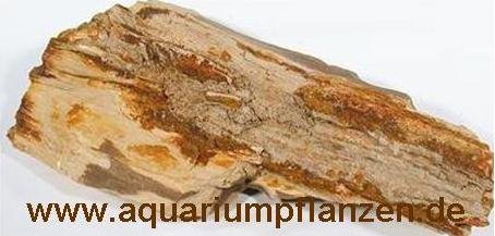 ca. 1 kg versteinertes Holz, Deko, Aquarium von Mühlan Aquatic Plants