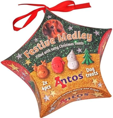 Hunde Feiertage Geschenk Weihnachten Geschenk Winter Hund Snacks Belohnung Weihnachten Hunde von 123diepvriesvoer.nl