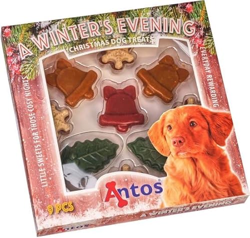 Weihnacht Für Hunde Snacks Überraschung Weihnachtsbaum Weihnachtsgeschenk Hund Tiere Hund Snack Advent von 123diepvriesvoer.nl