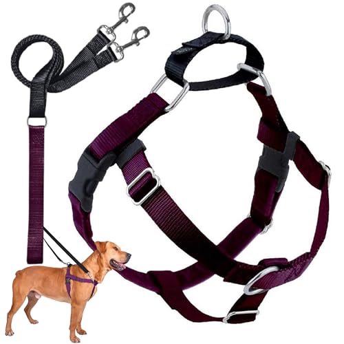 2 Hounds Design 818557021511 No-Pull Dog Harness with LeashMedium (5/8 Zoll Wide) MBurgundy von 2 Hounds Design