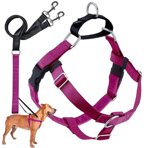 2 Hounds Design 818557021603 No-Pull Dog Harness with LeashMedium (5/8 Zoll Wide) MRaspberry von 2 Hounds Design