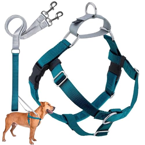 2 Hounds Design 818557021658 No-Pull Dog Harness with LeashMedium (5/8 Zoll Wide) MTeal von 2 Hounds Design